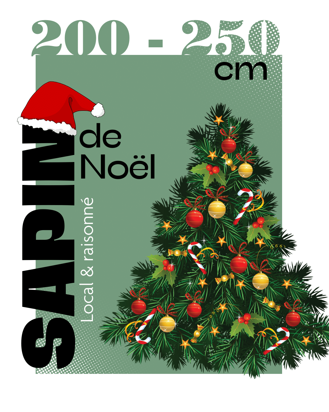 Sapin de Noël 200 - 250 cm